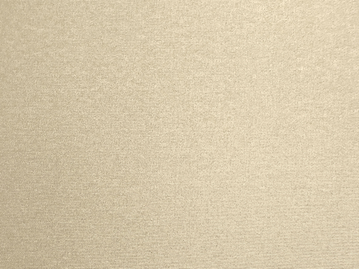 4.951207  Raccoon