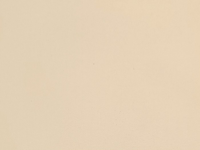 4.961702  Bisque