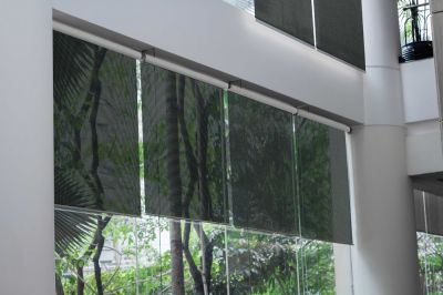 Black Coating Clearview Screen